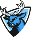 SK Hokejbal Letohrad "B"
