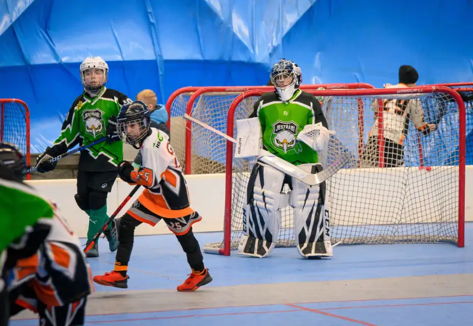 Přípravka - turnaj Pardubice 22. 2. 2026