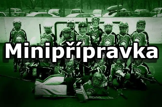 Hostili jsem turnaj minipřípravek!