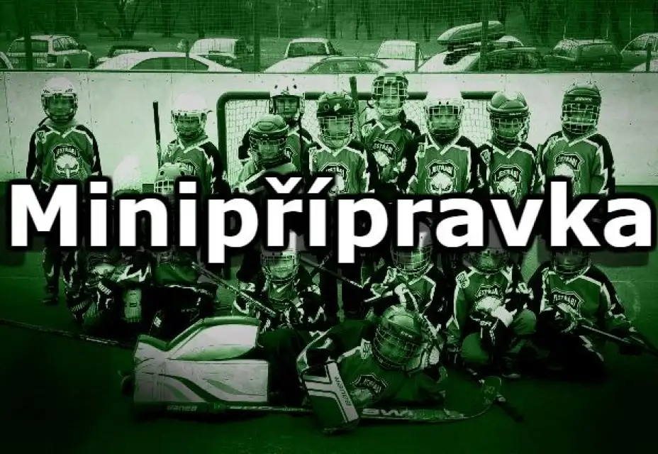 Hostili jsem turnaj minipřípravek!